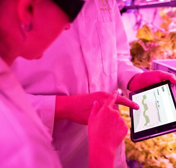 digital growth tools available