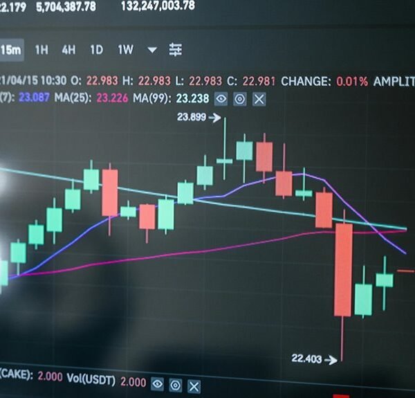 grow with digital platform